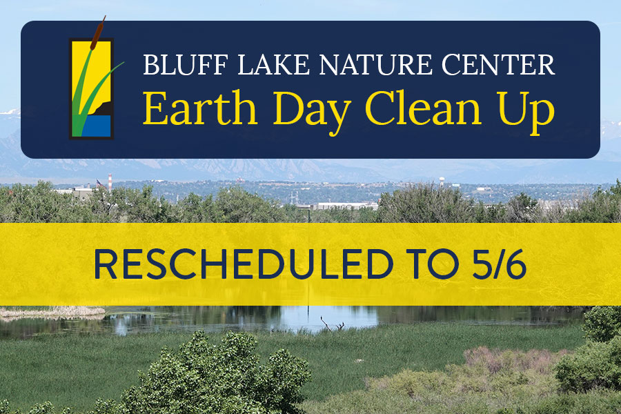 Bluff Lake clean up